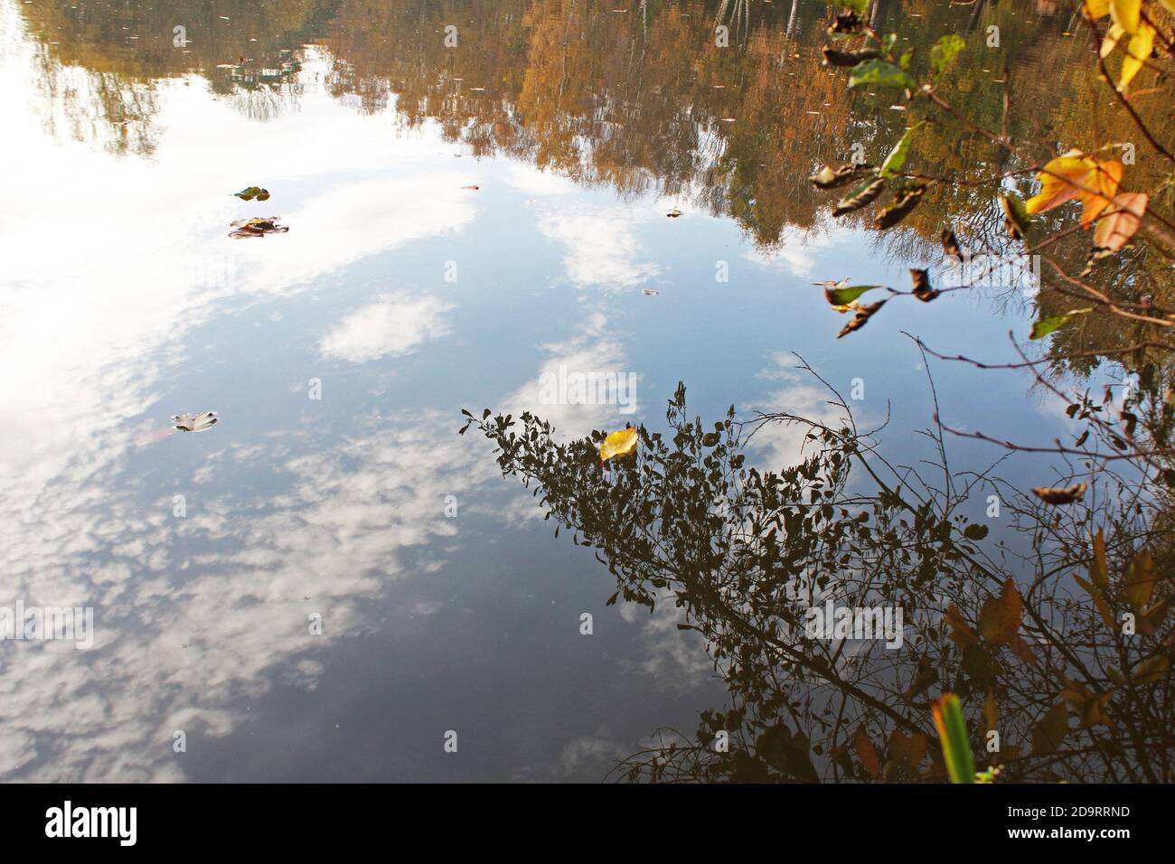 Réflexion des arbres et des feuilles d'automne sur un lac/étang par une journée ensoleillée à Manchester, en Angleterre Banque D'Images