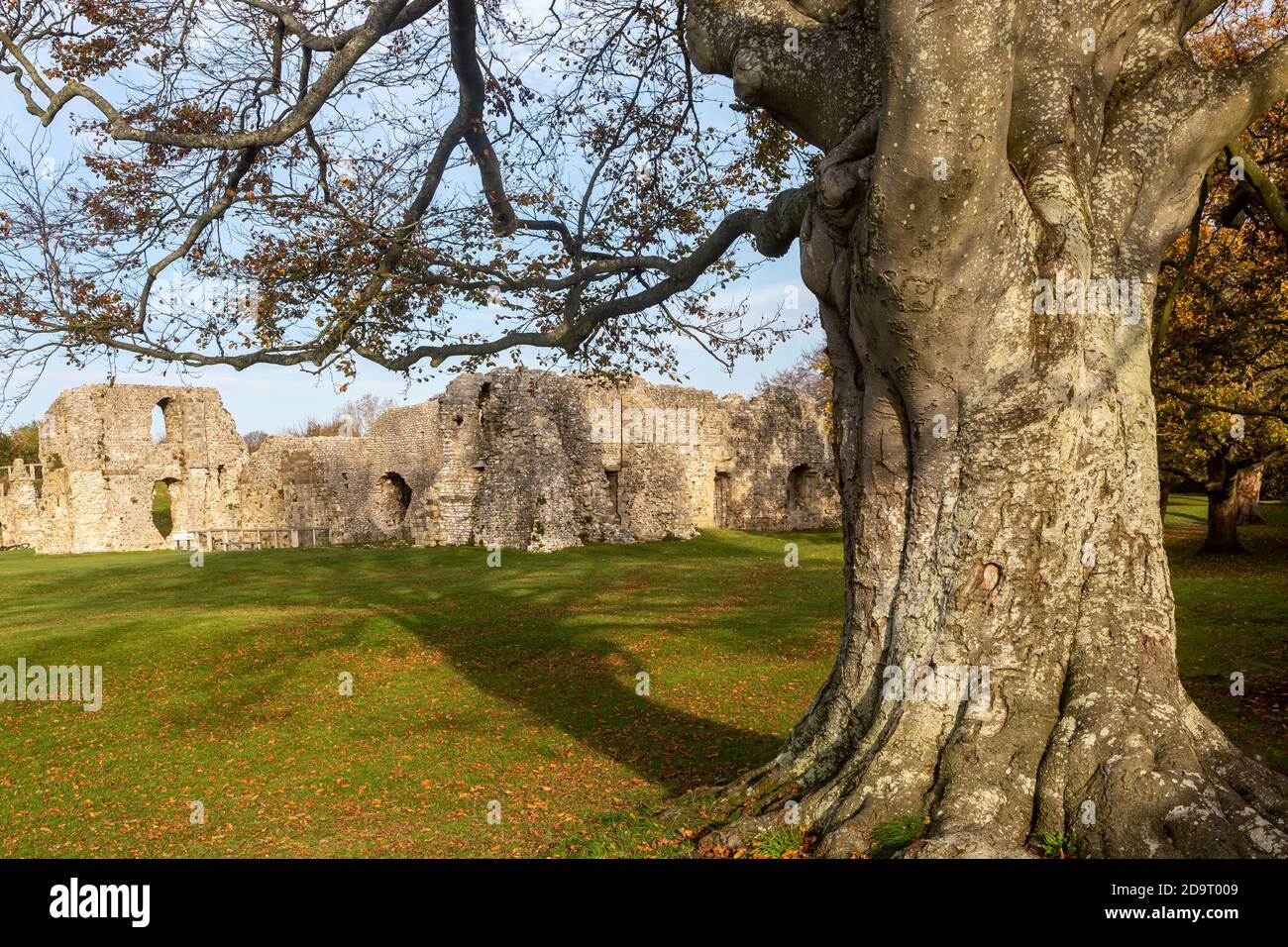 Les ruines du Prieuré de St Pancras à Lewes, un jour d'automne ensoleillé Banque D'Images