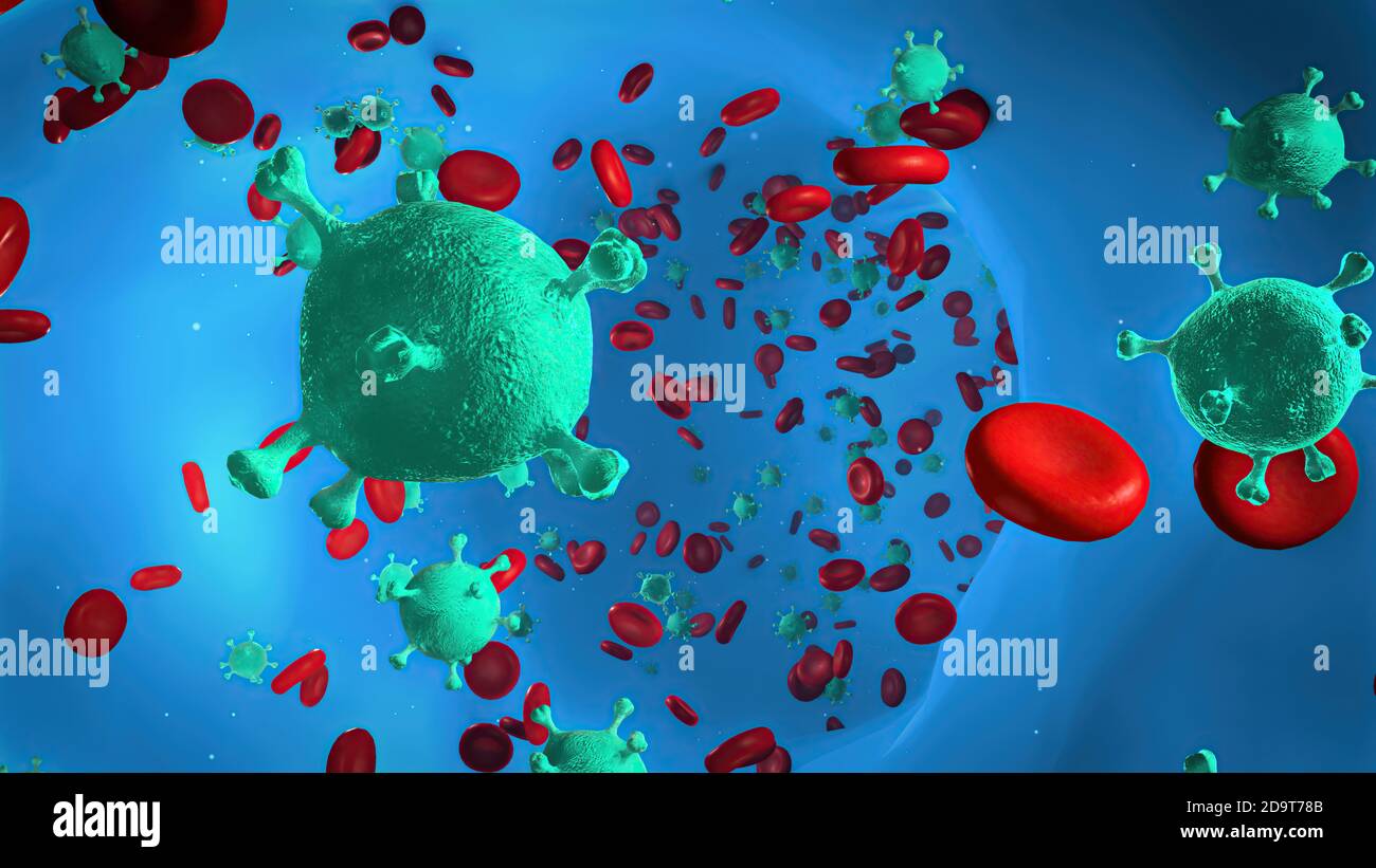 Coronavirus maladie COVID-19 infection dans le sang humain. Animation médicale. Rendu 3D Banque D'Images Coronavirus maladie COVID-19 infection dans le sang humain. Animation médicale. Rendu 3D Banque D'Images