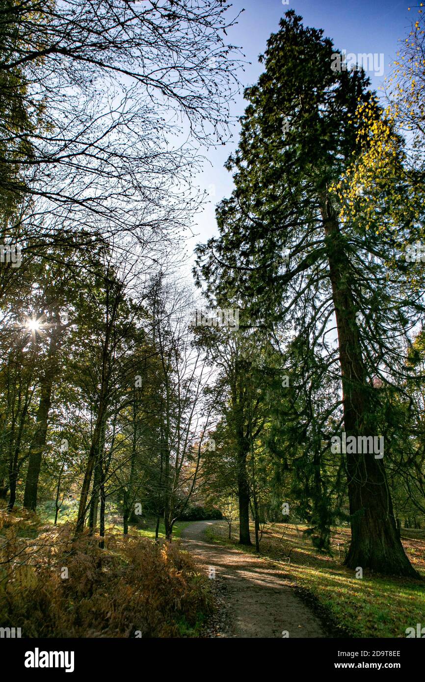 7 novembre 2020 : Haywards Heath, Angleterre. Vues pittoresques sur les jardins botaniques et le manoir de la fin du XVIe siècle de Wakehurst, qui sont situés près de Haywards Heath, dans le comté sud anglais de West Sussex. Le paysage de Wakehurst couvre environ 490 acres de végétation, y compris différents jardins, réserves naturelles, zones boisées et zones humides. Il comprend également la Banque de semences du millénaire de Kew, considérée comme le plus grand projet de conservation des semences au monde. Wakehurst est la propriété de la National Trust tout en étant géré par les Royal Botanic Gardens, Kew (Credit image: © Matt Duckett/IMA Banque D'Images