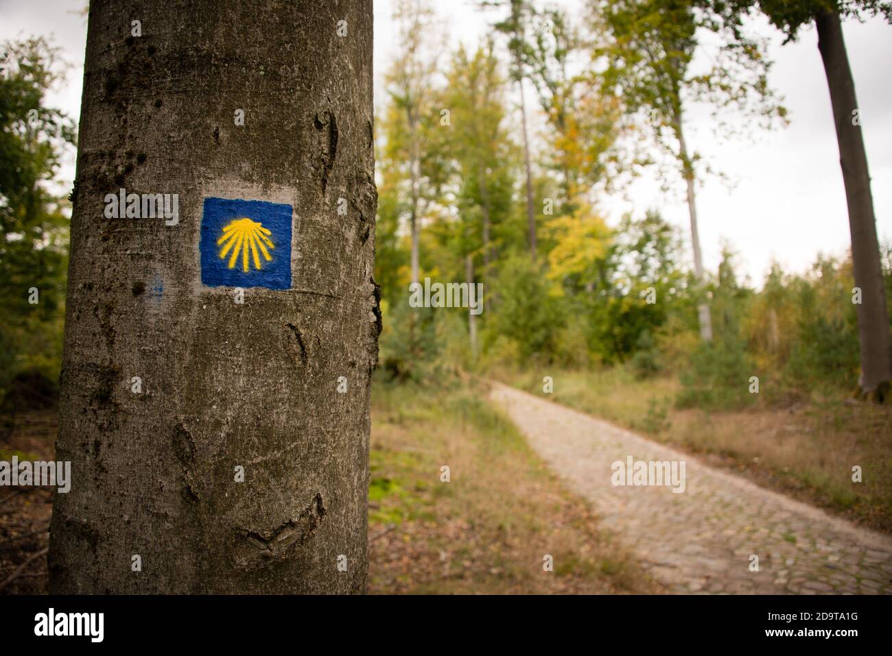 Le signe de l'obus : nouveau marqueur à la section allemande du Camino de Santiago, l'un des nombreux itinéraires historiques de la voie Saint-Jacques en Europe. Banque D'Images