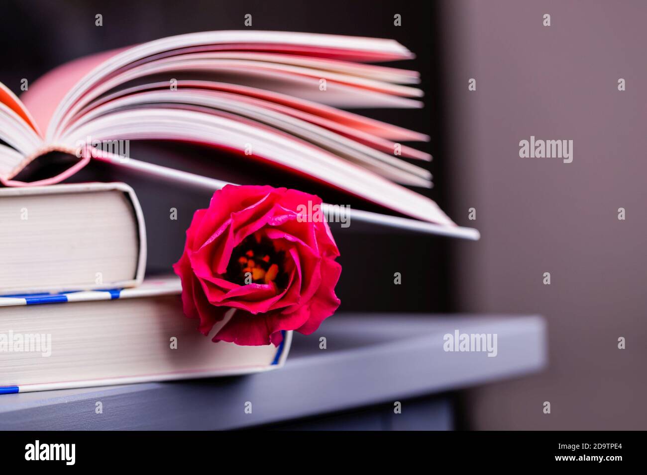 Eustoma ou lisianthus ou fleur gentiane de prairie et livres un arrière-plan sombre Banque D'Images