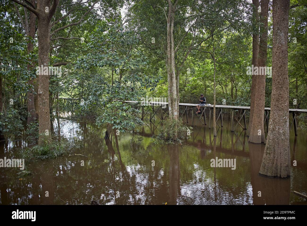 Palangka Raya, Kalimantan, Indonésie, février 2016. Un homme pêche dans la forêt inondée à côté de la ville. Banque D'Images