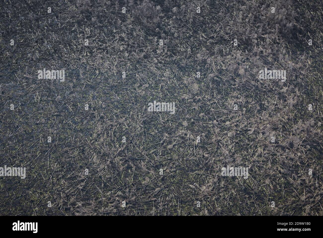 Ketapang, Kalimantan, Indonésie, février 2016. Vue aérienne des résultats des feux de forêt dans la jungle pour la plantation de palmiers à huile. Banque D'Images