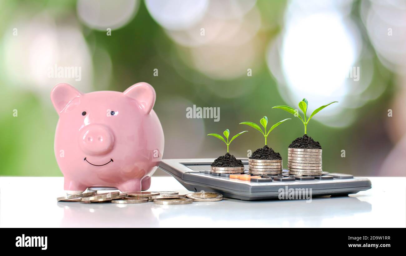 Plantez un arbre vert sur une pile d'argent et une calculatrice pour la croissance financière et les idées d'économie d'argent. Banque D'Images