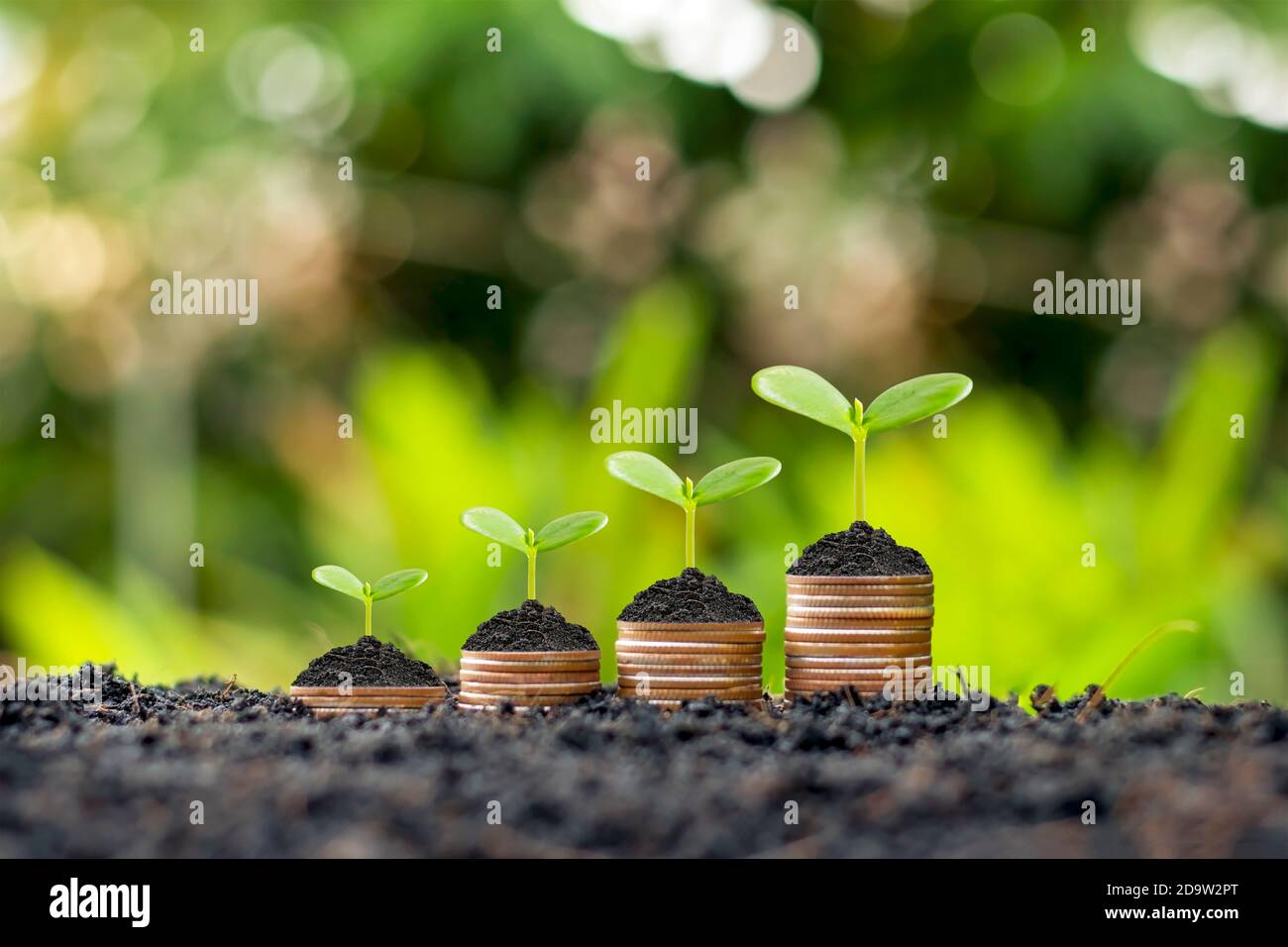 Les pièces de monnaie et les plantes sont cultivées sur un tas de pièces de monnaie pour la finance et la banque. L'idée d'économiser de l'argent et d'augmenter les finances. Banque D'Images