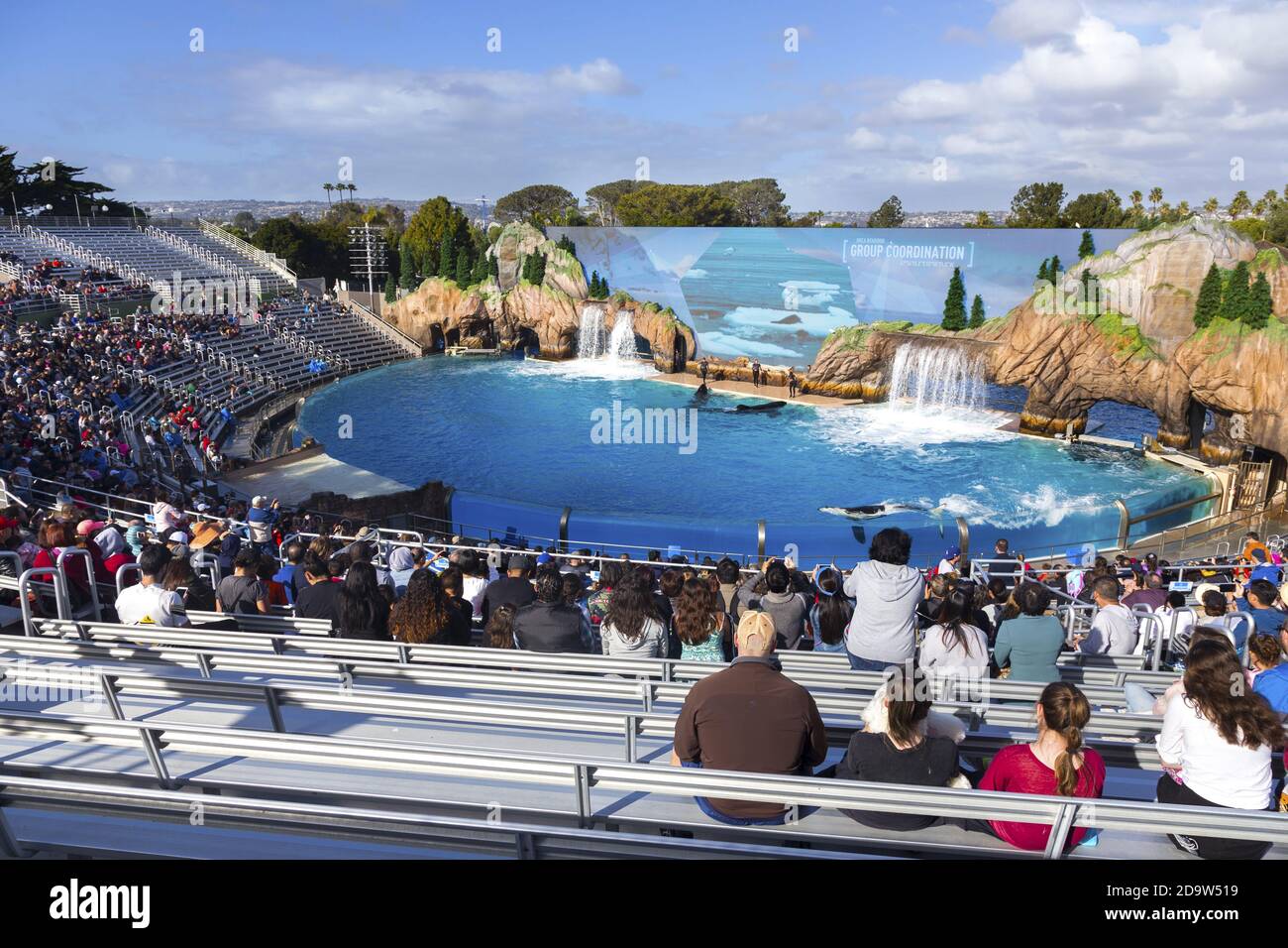 Visiteurs appréciant Orca Behavior Killer Whale Show à San Diego, parc à thème SeaWorld de Californie, célèbre dans le monde entier Banque D'Images