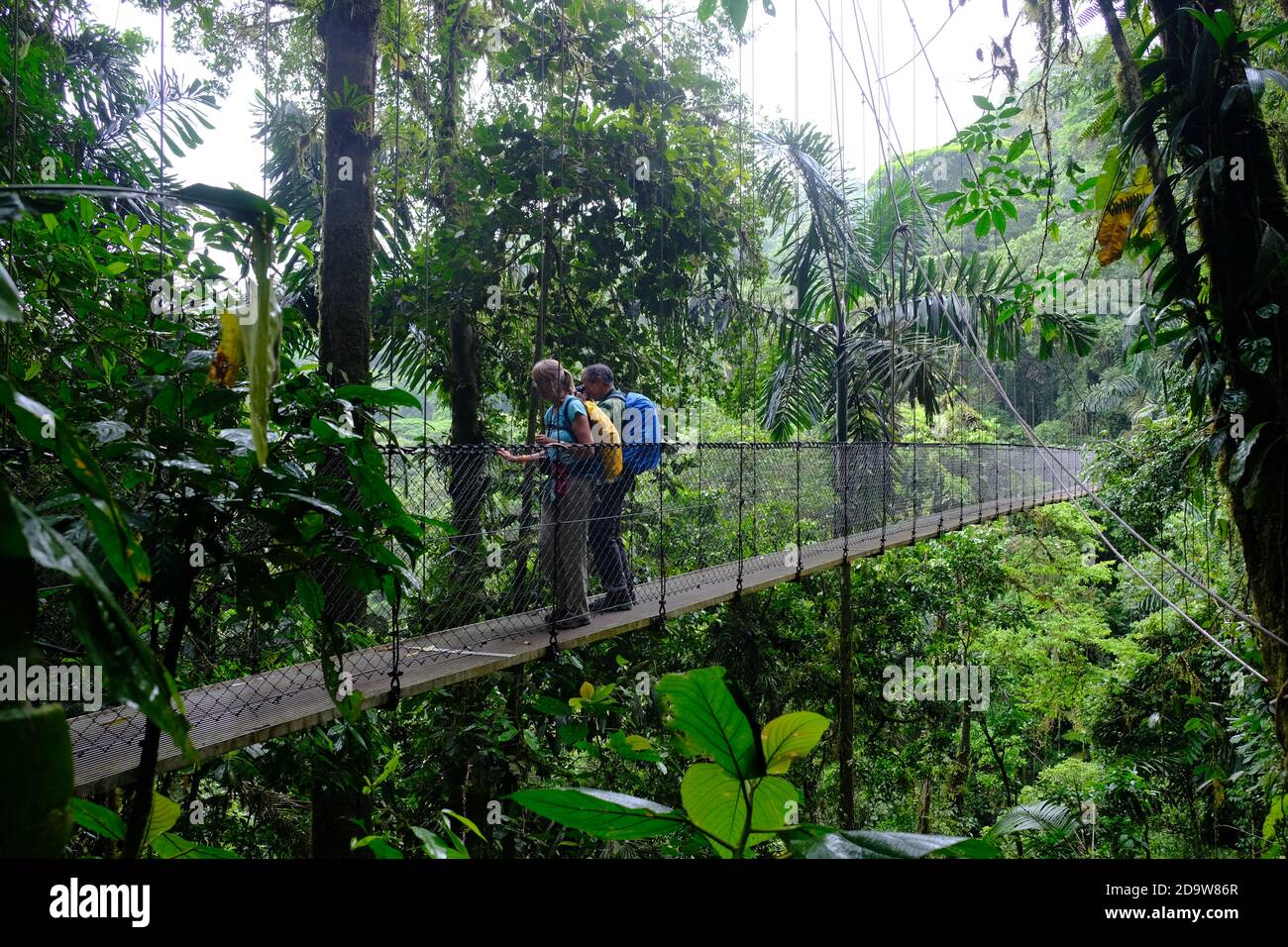 Parc national du volcan Arenal du Costa Rica - randonnée pédestre et arbre Top Walk Banque D'Images