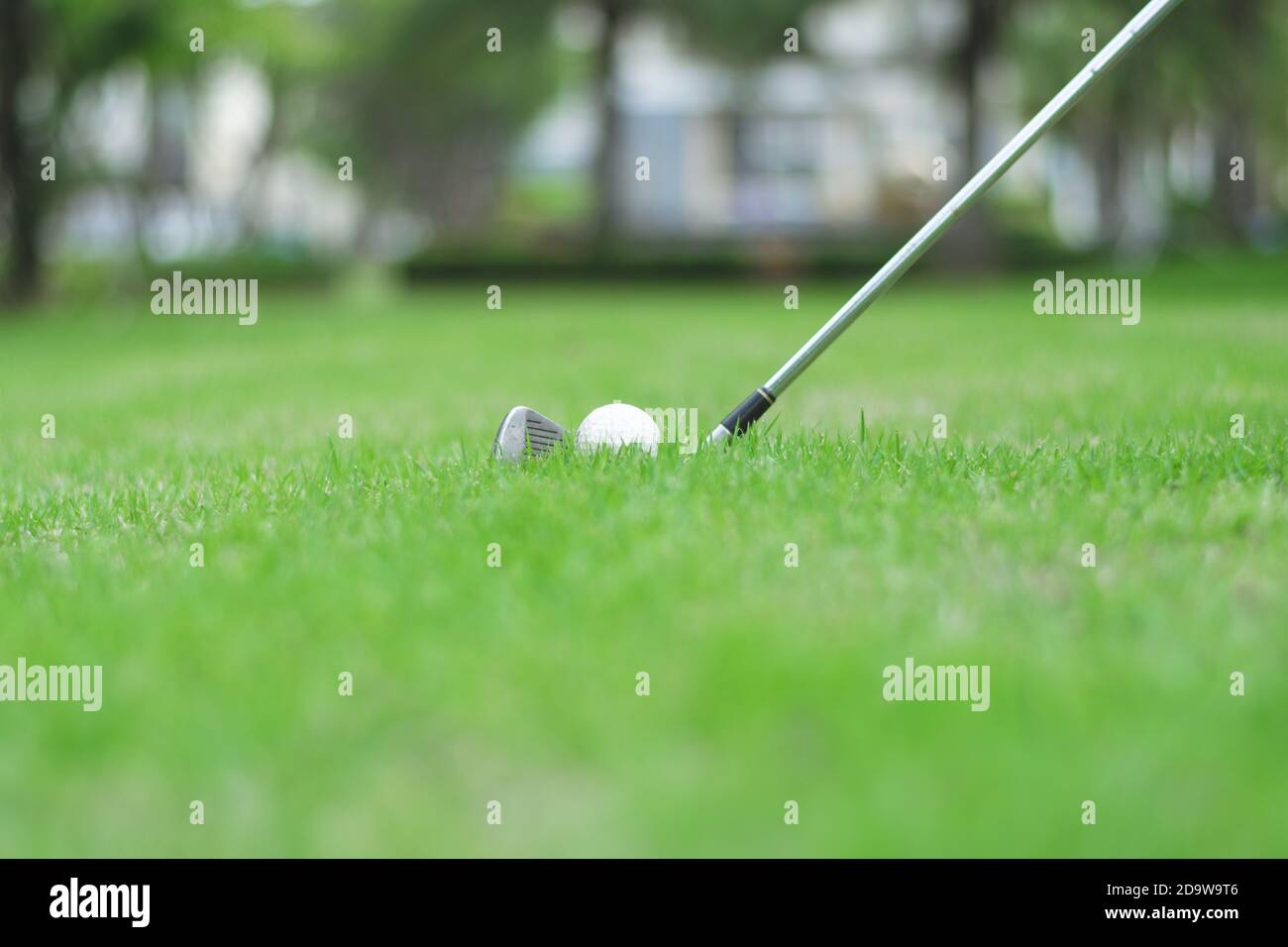 Gros plan sur le terrain de golf avec une balle de golf sur l'herbe verte. Banque D'Images