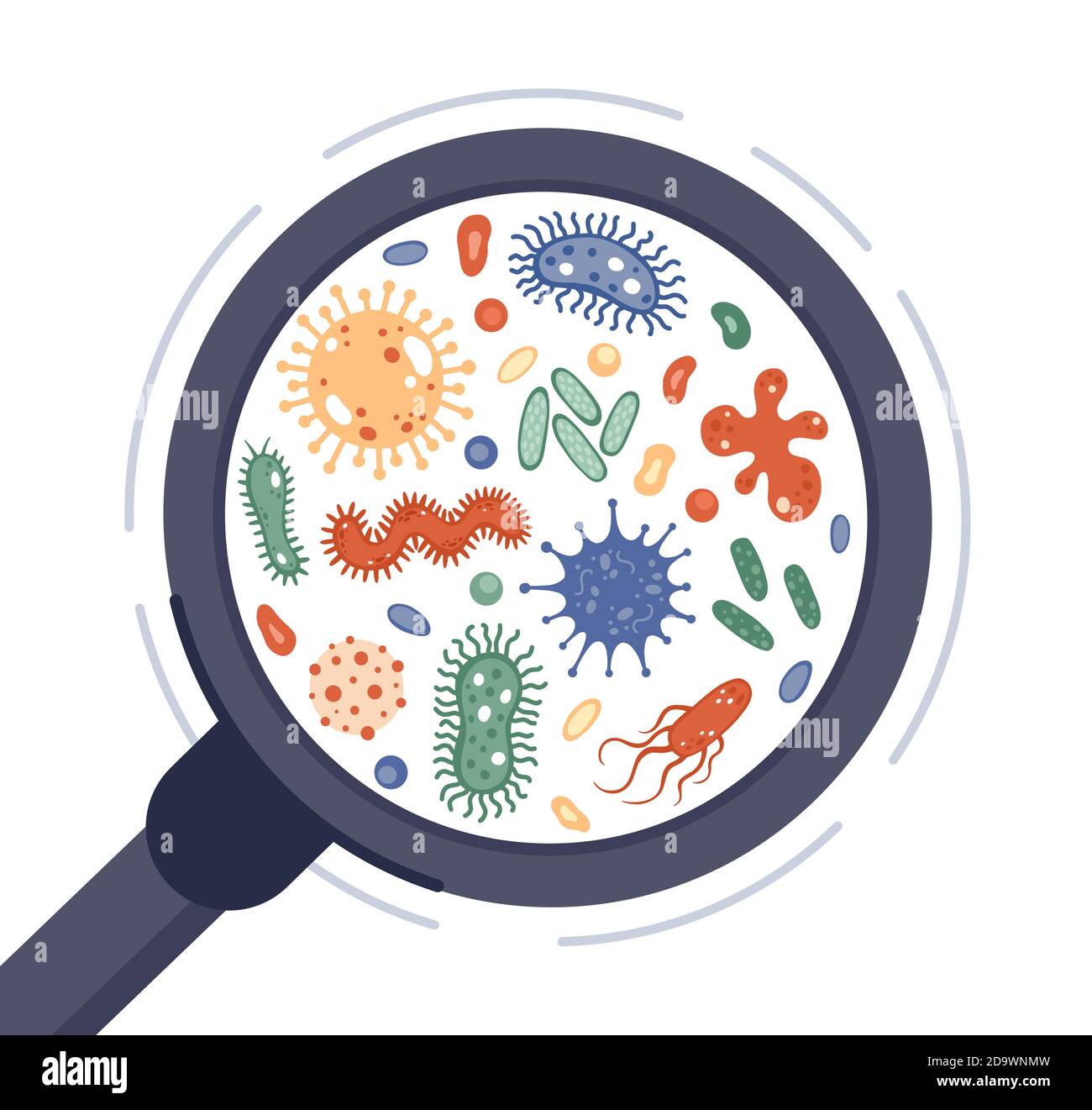 Bactéries dans la loupe. Virus, germe d'infection et bactéries de maladie sous verre rajeunissant. Illustration du vecteur de cercle des micro-organismes Illustration de Vecteur
