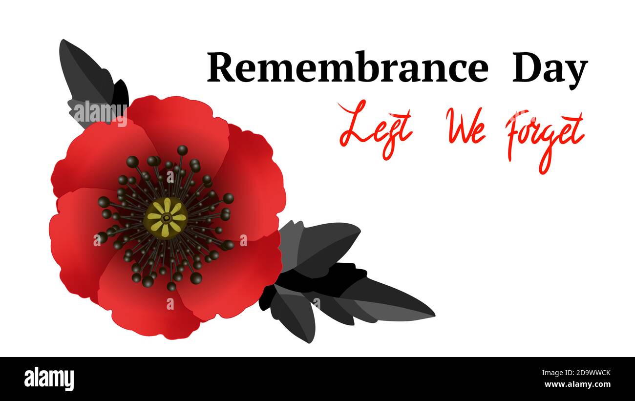 Le jour du souvenir ne l'oublions pas. Fleur de pavot rouge symbole international de paix sur fond blanc. Idéal pour les affiches de conception, la bannière, l'en-tête pour websi Illustration de Vecteur