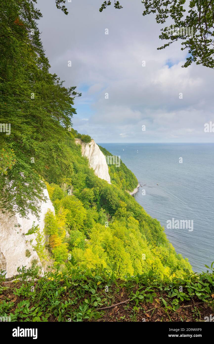 Parc national de Jasmund : Königsstuhl (chaise du roi), côte de la falaise de craie, mer Baltique, Ostsee (mer Baltique), Ile de Rügen, Mecklembourg-Poméranie-Occidentale, Germa Banque D'Images