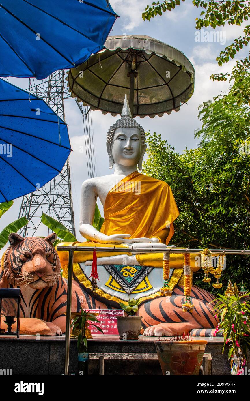 Temple Wat Samphran Dragon à Nakhon Pathom Banque D'Images