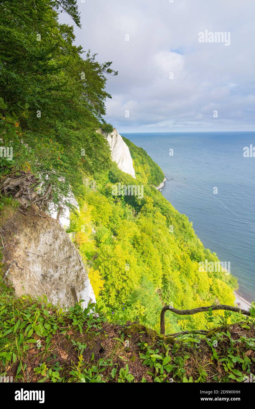Parc national de Jasmund : Königsstuhl (chaise du roi), côte de la falaise de craie, mer Baltique, Ostsee (mer Baltique), Ile de Rügen, Mecklembourg-Poméranie-Occidentale, Germa Banque D'Images