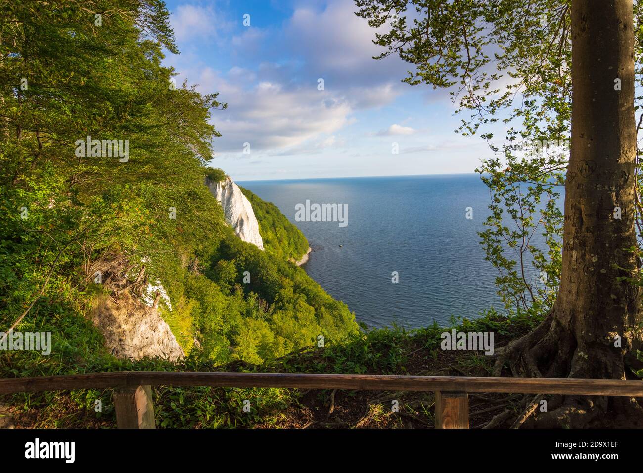 Parc national de Jasmund : Königsstuhl (chaise du roi), vue de Victoria-Sicht (vue de Victoria), côte de falaise de craie, mer Baltique, Ostsee (mer Baltique), Banque D'Images