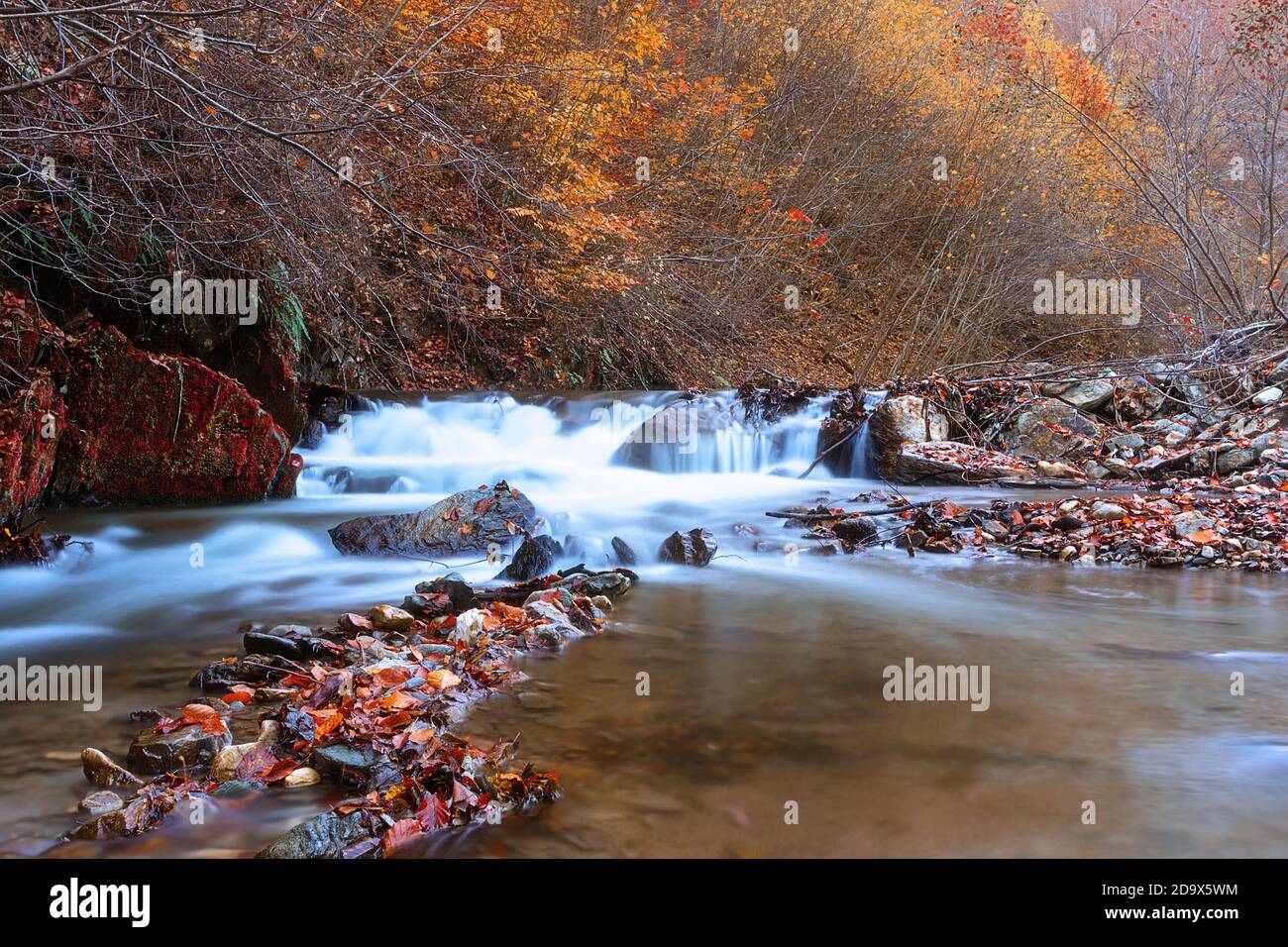 Détail de la cascade d'automne dans les montagnes Apuseni à Scarita Belioara, Banque D'Images