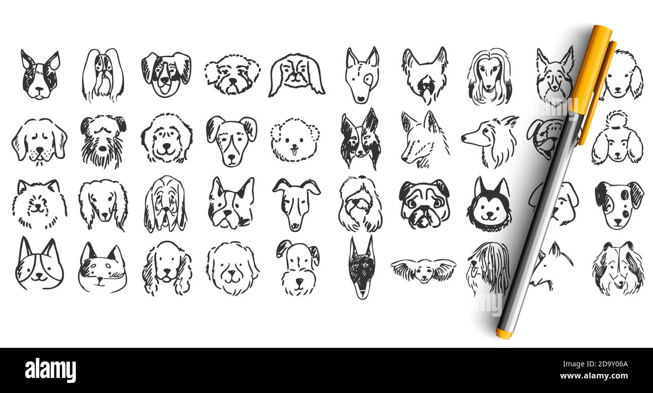 Ensemble de doodle pour chiens Illustration de Vecteur