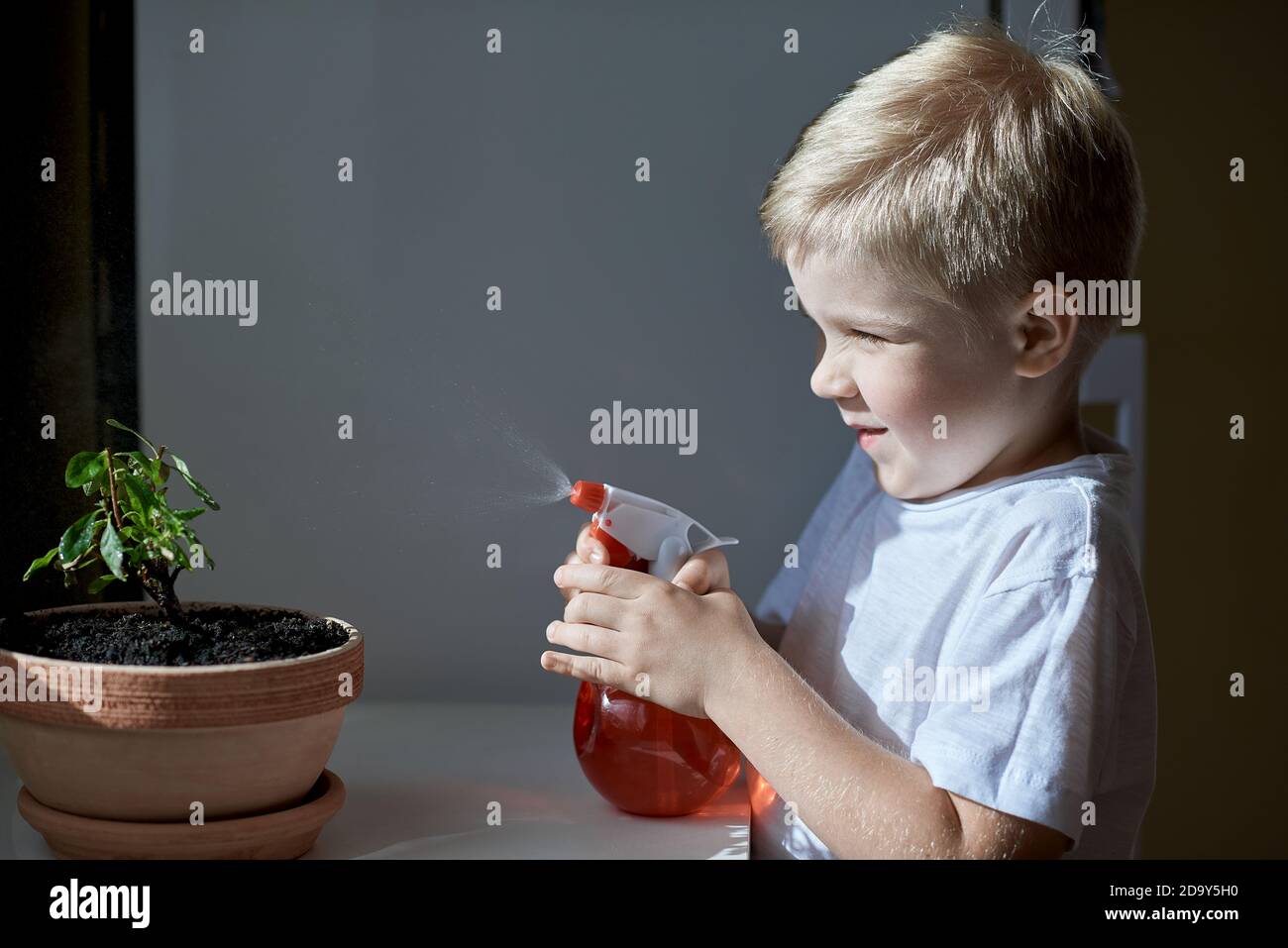 Un enfant qui abreuvoir les plantes de la cuisine Banque D'Images