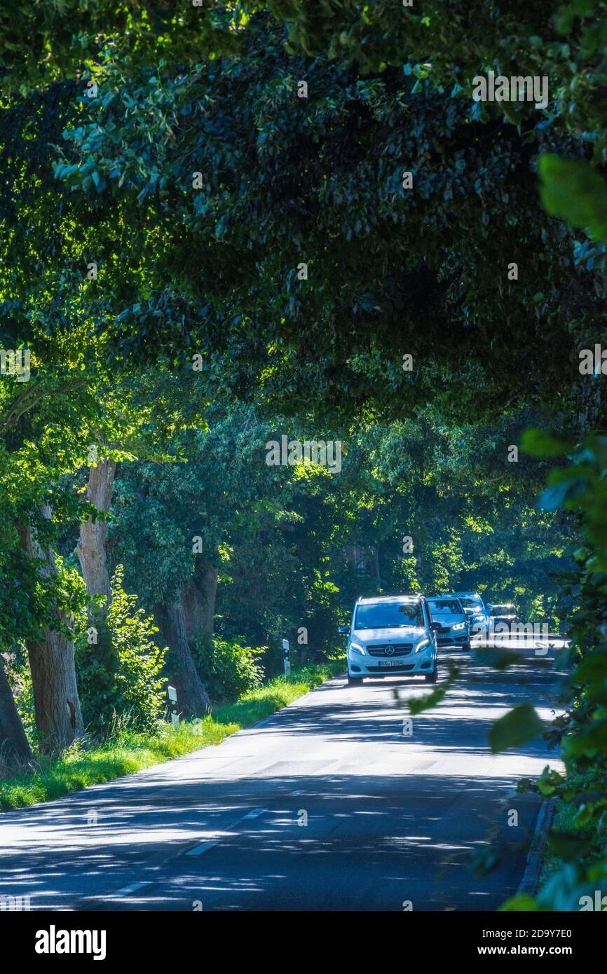 Putbus: avenue, voitures, sangsues, partie de Deutsche Allemenstraße (route de l'avenue allemande), Ostsee (mer Baltique), Ile de Rügen, Mecklenburg-Vorpommern, Allemagne Banque D'Images