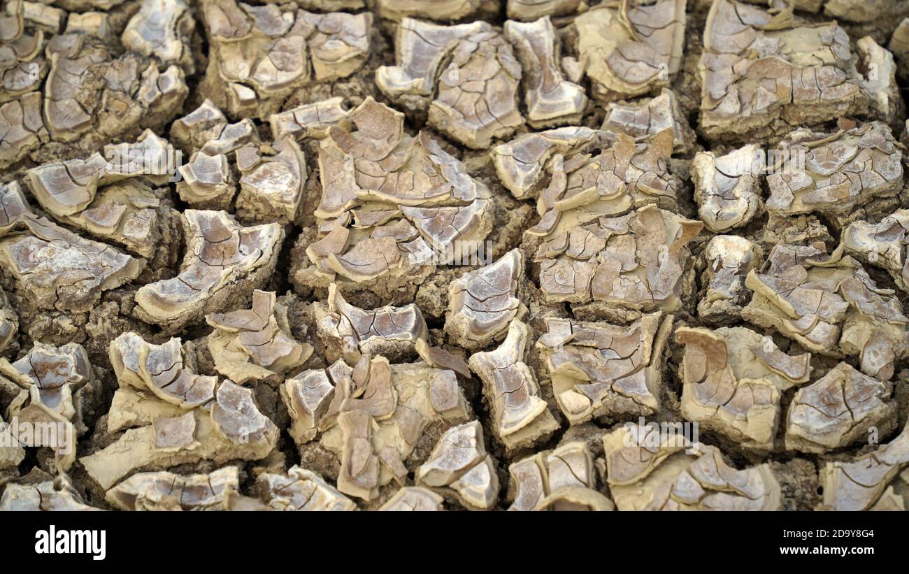 Problème de réchauffement de la planète terre fissurée et eau sèche est la mise au point douce, plein cadre photo de terre fissurée, texture du sol, décoloré, faible Reds Banque D'Images