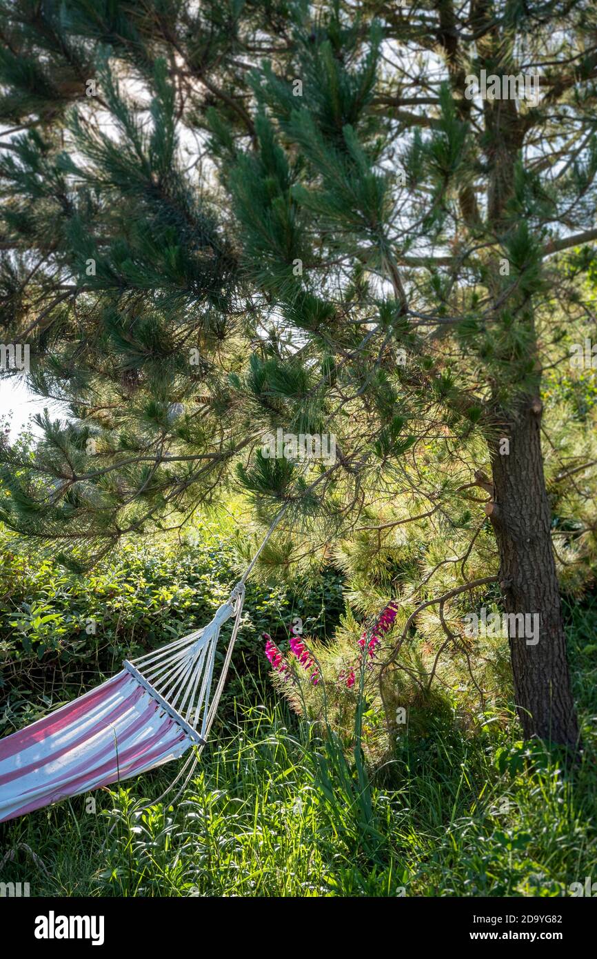 Vieux hamac rayé accroché à l'arbre dans le jardin de campagne Banque D'Images