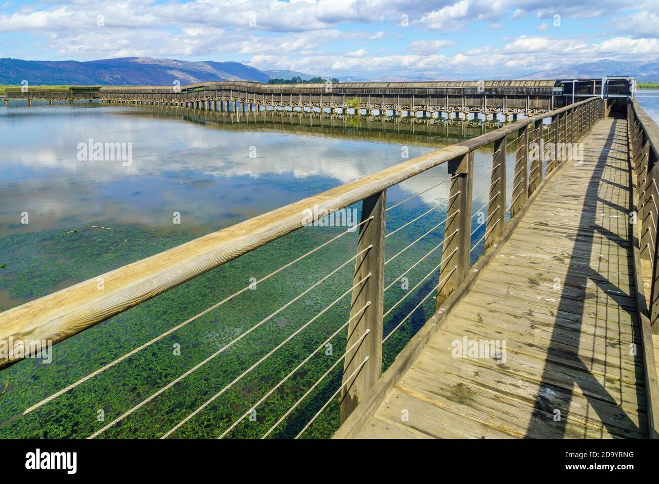 Vue sur le pont flottant, avec paysage de zones humides, dans la réserve naturelle de Hula, au nord d'Israël Banque D'Images