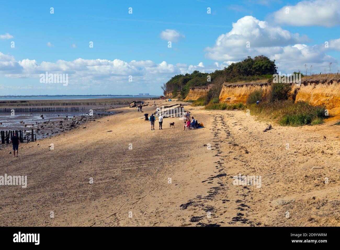 Plage de Cudmore Grove Country Park dans l'Essex Banque D'Images