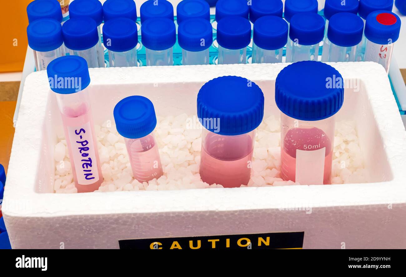 Échantillons de protéine S dans des flacons préparés à froid en laboratoire, étude de l'infection par le covid-19 chez l'homme, image conceptuelle Banque D'Images