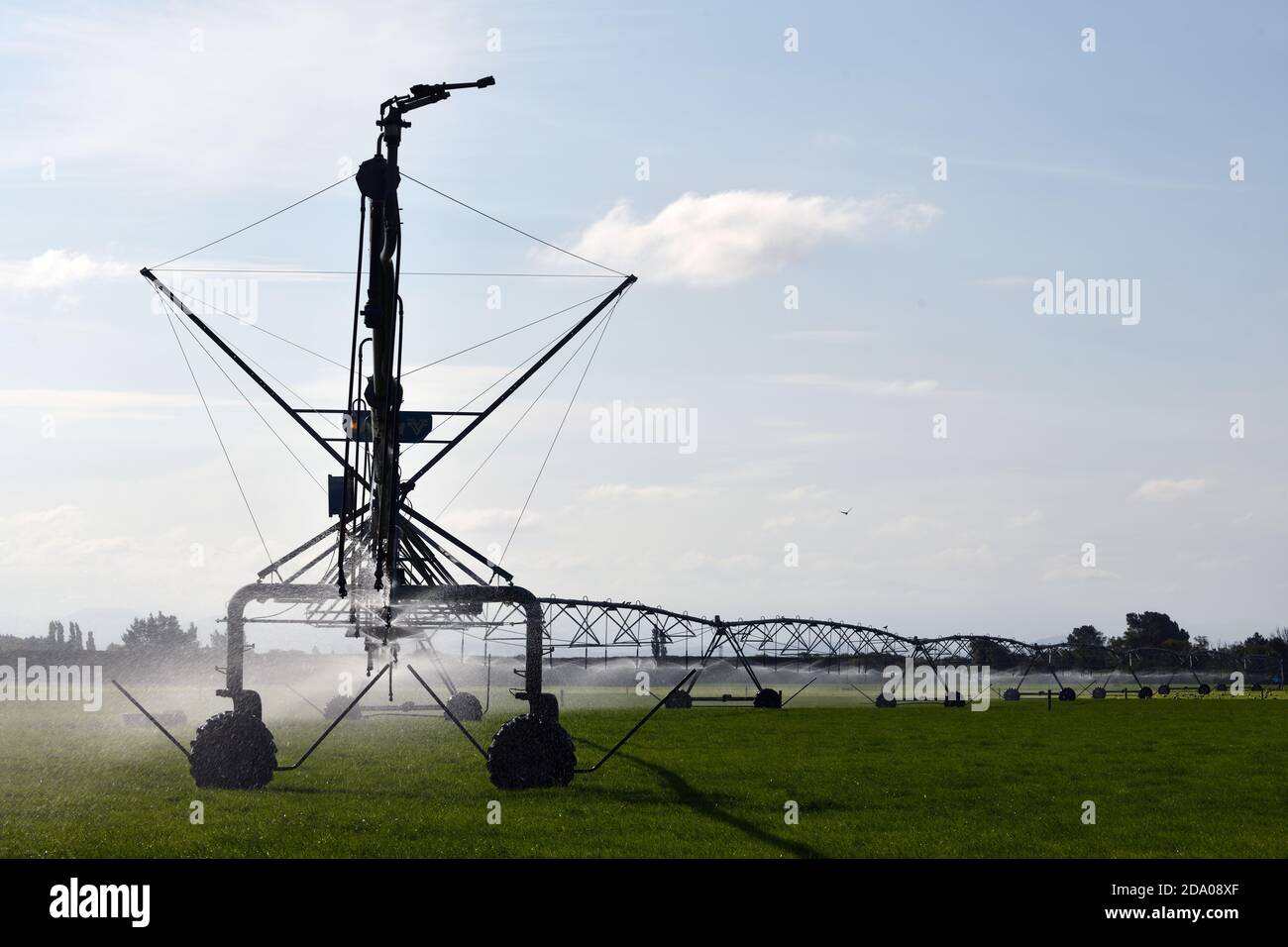 Irrigation saupoudrer eau pâturage laitier à Canterbury, en Nouvelle-Zélande, où l'approvisionnement en eau est devenu une question controversée Banque D'Images