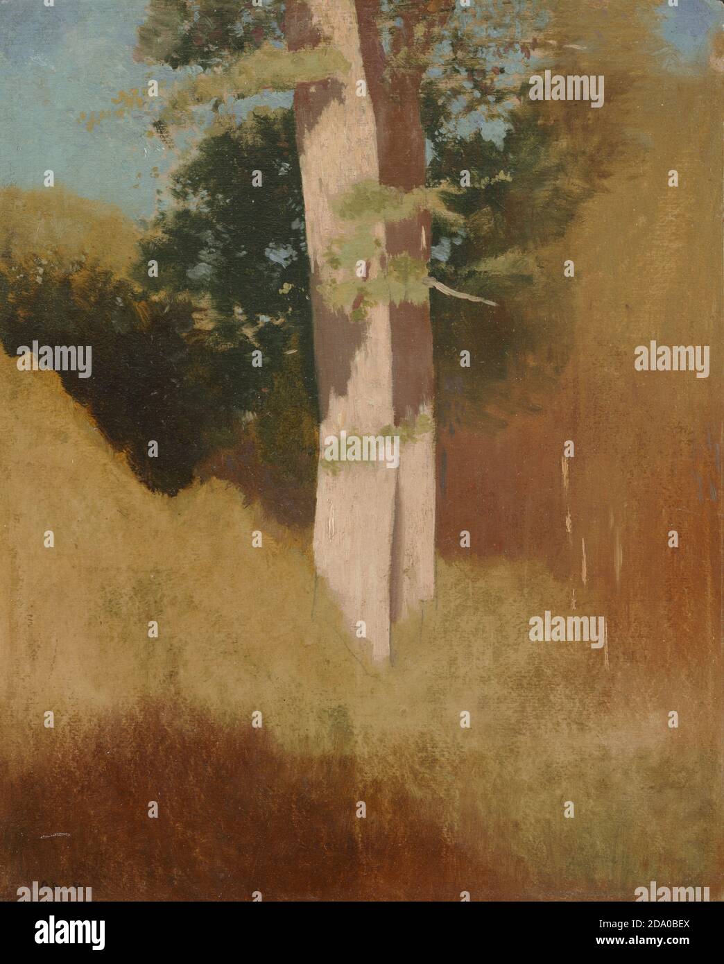 Odilon Redon - arbres dans le ciel bleu. C 1883. Peinture célèbre. Peinture haute résolution. Banque D'Images