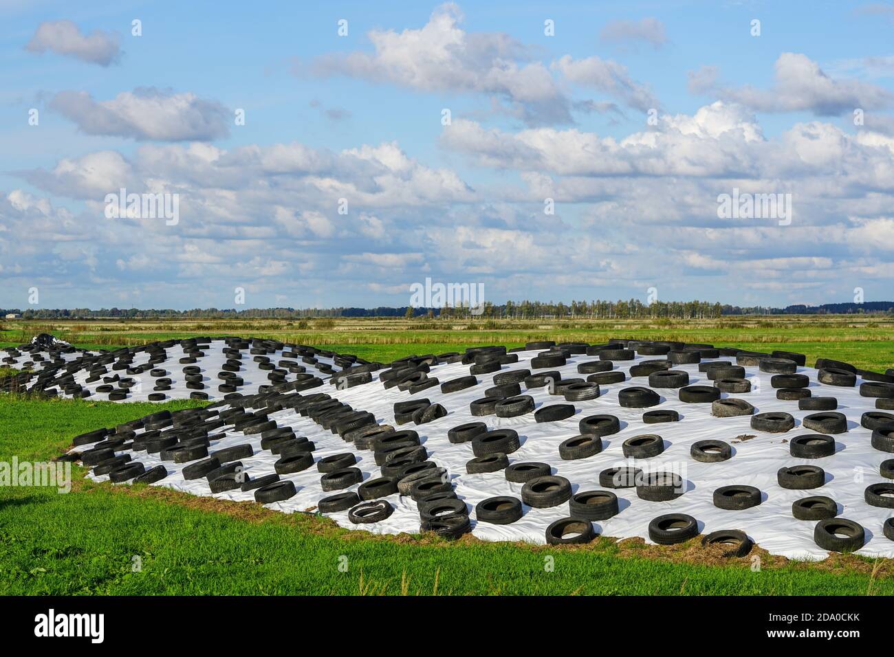 grande pile d'ensilage sur le terrain recouverte d'un film plastique et des pneus usagés Banque D'Images