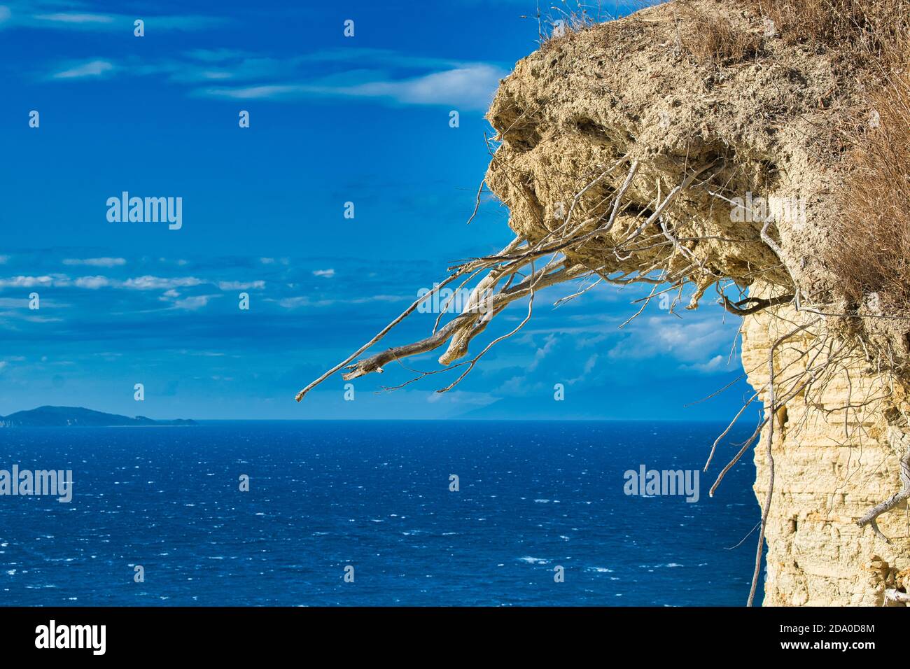 les racines pendent dans les falaises de la côte des grecs de corfou au-dessus de la mer dans le ciel Banque D'Images