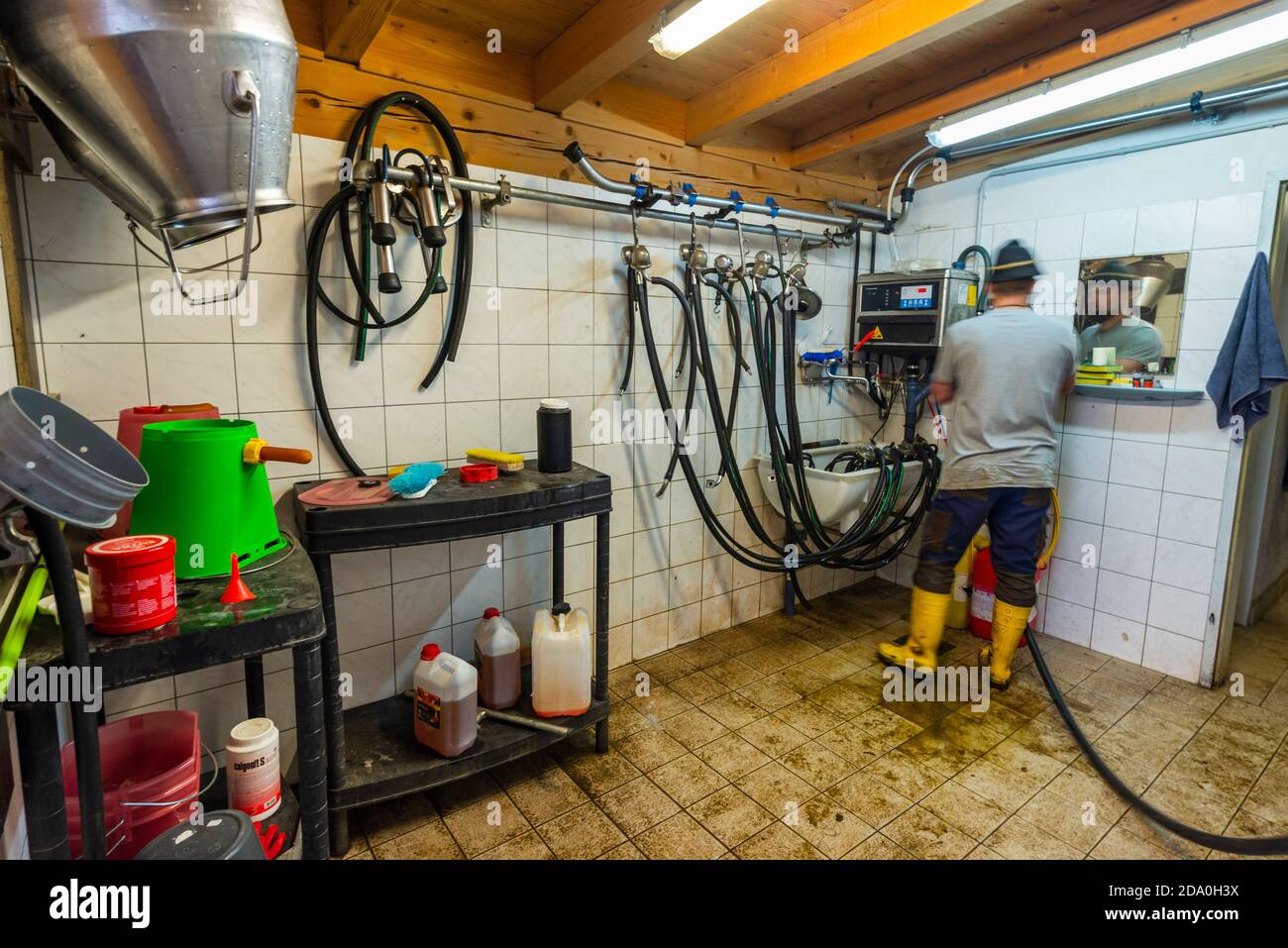 Farmer nettoie les tuyaux de la machine de traite, Ackernalm, Tyrol, Autriche Banque D'Images