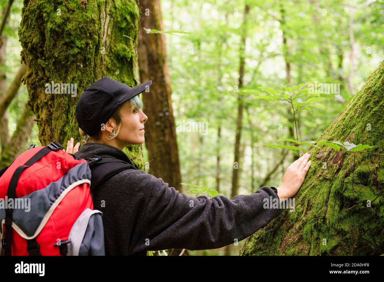 Vue latérale du contenu pour femme voyageur avec sac à dos touchant la mousse Arbres à Monte Cabezon Monument naturel des Sequoias et à la recherche loin Banque D'Images