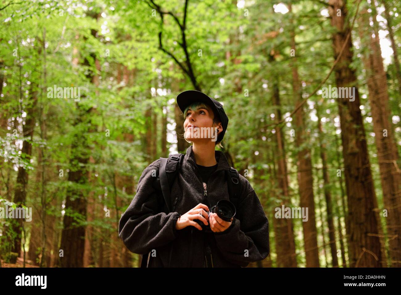 Faible angle de la photographe de voyage debout dans les bois avec Appareil photo et profiter de la nature à Monte Cabezon Monument naturel de Sequoias à Cantabri Banque D'Images