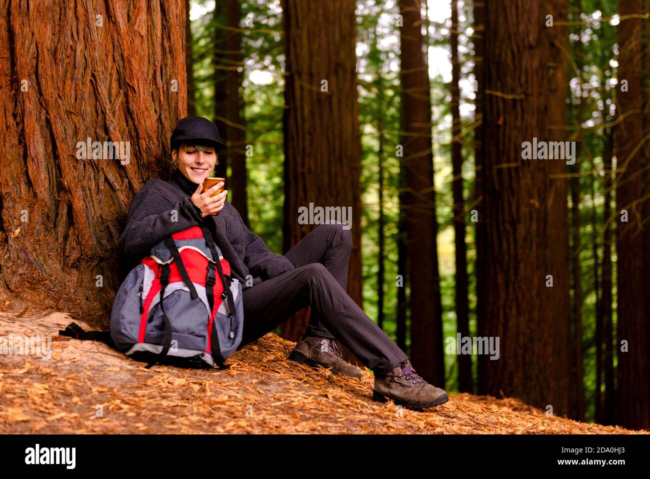 Touriste gai avec sac à dos sur l'arbre et la navigation sur smartphone Tout en se relaxant dans Monte Cabezon Monument naturel de Sequoias pendant vacances Banque D'Images