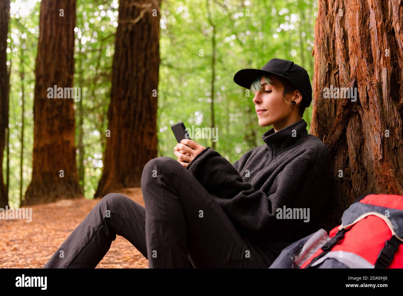 Vue latérale d'une jolie femme touristique penchée sur un arbre bois et navigation sur smartphone tout en se reposant à Monte Cabezon Natural Monument de Sequoias Banque D'Images