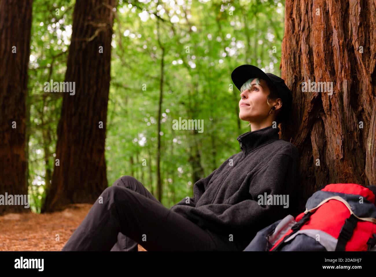 Un explorateur enchantés avec un sac à dos près d'un immense arbre en forêt Et se reposer pendant le trekking dans Monte Cabezon Monument naturel de Sequoias tout en restant Banque D'Images