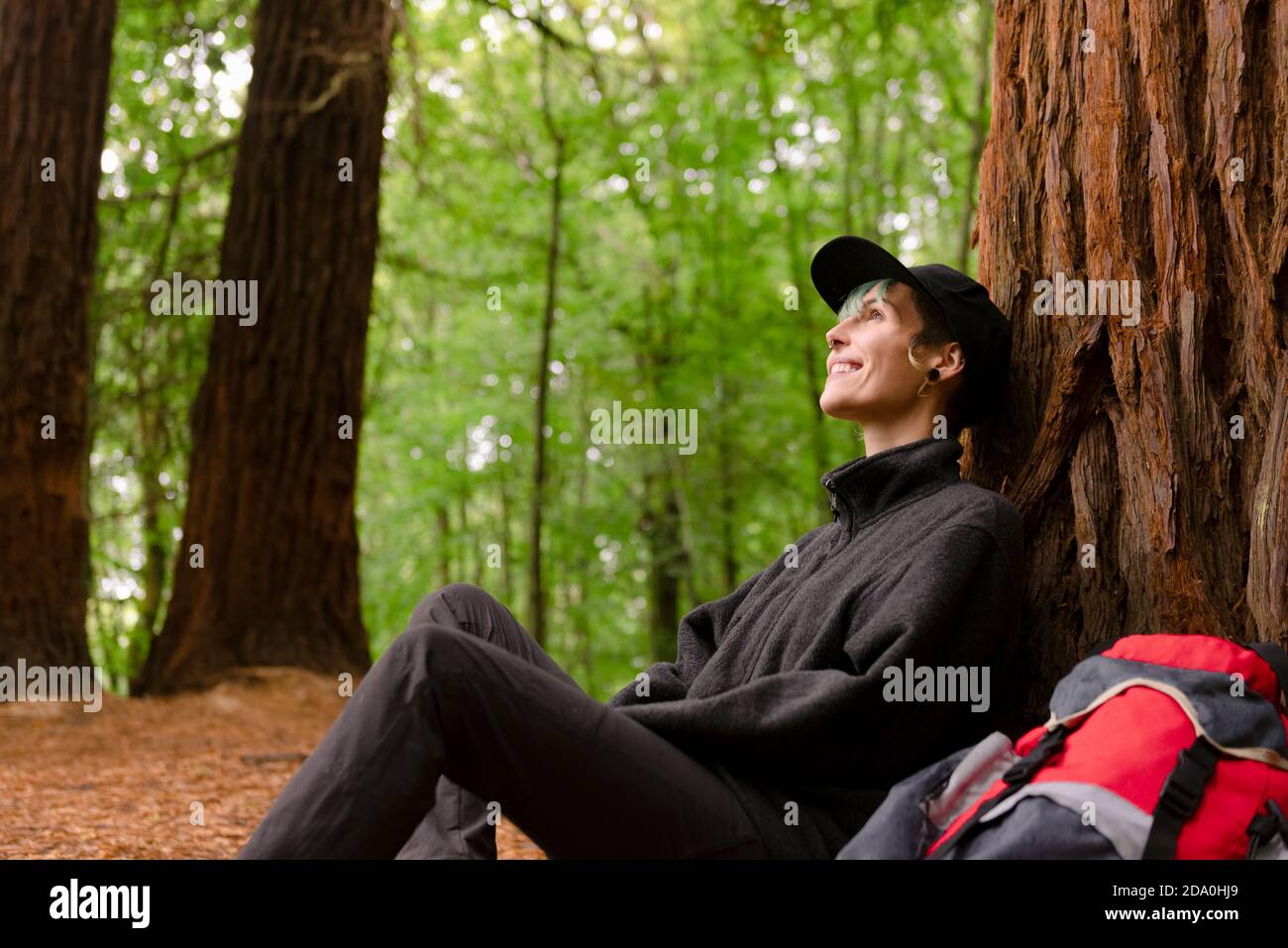 Un explorateur enchantés avec un sac à dos près d'un immense arbre en forêt Et se reposer pendant le trekking dans Monte Cabezon Monument naturel de Sequoias tout en restant Banque D'Images