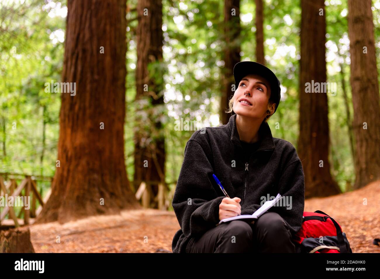 Femme explorer assis dans les bois et écrire dans le bloc-notes pendant Vacances à Monte Cabezon Monument naturel de Sequoias in Cantabrie Banque D'Images