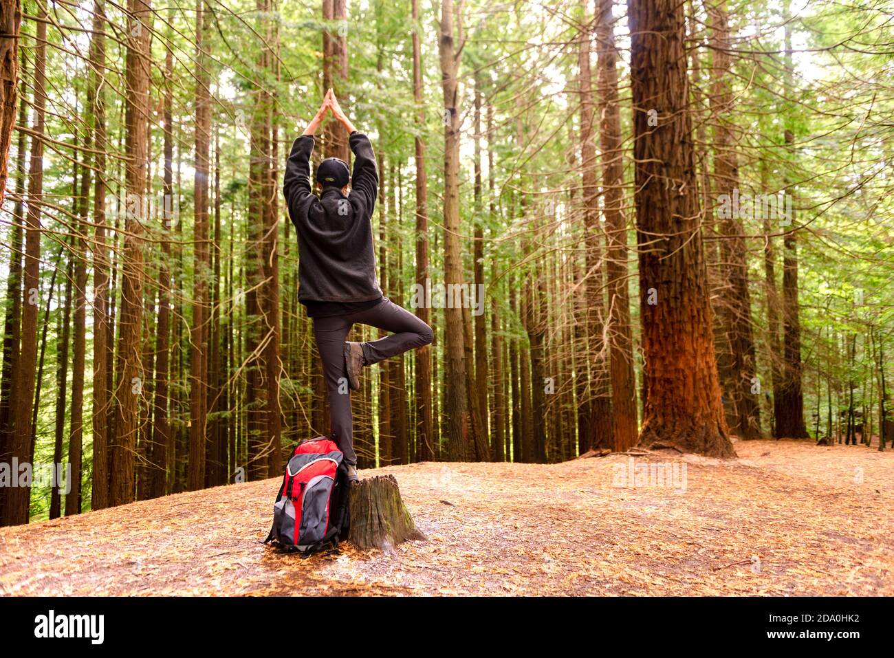 Vue arrière du touriste anonyme debout dans Tree pose pendant Faire du yoga à Monte Cabezon Monument naturel des Sequoias avec Mains Namaste pendant l'été a Banque D'Images