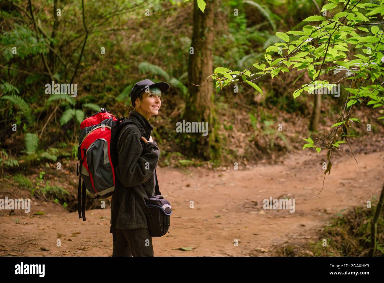 Content touriste femelle avec sac à dos debout dans les bois et appréciant Paysage incroyable de grands arbres dans le monument naturel de Monte Cabezon De séquoias Banque D'Images