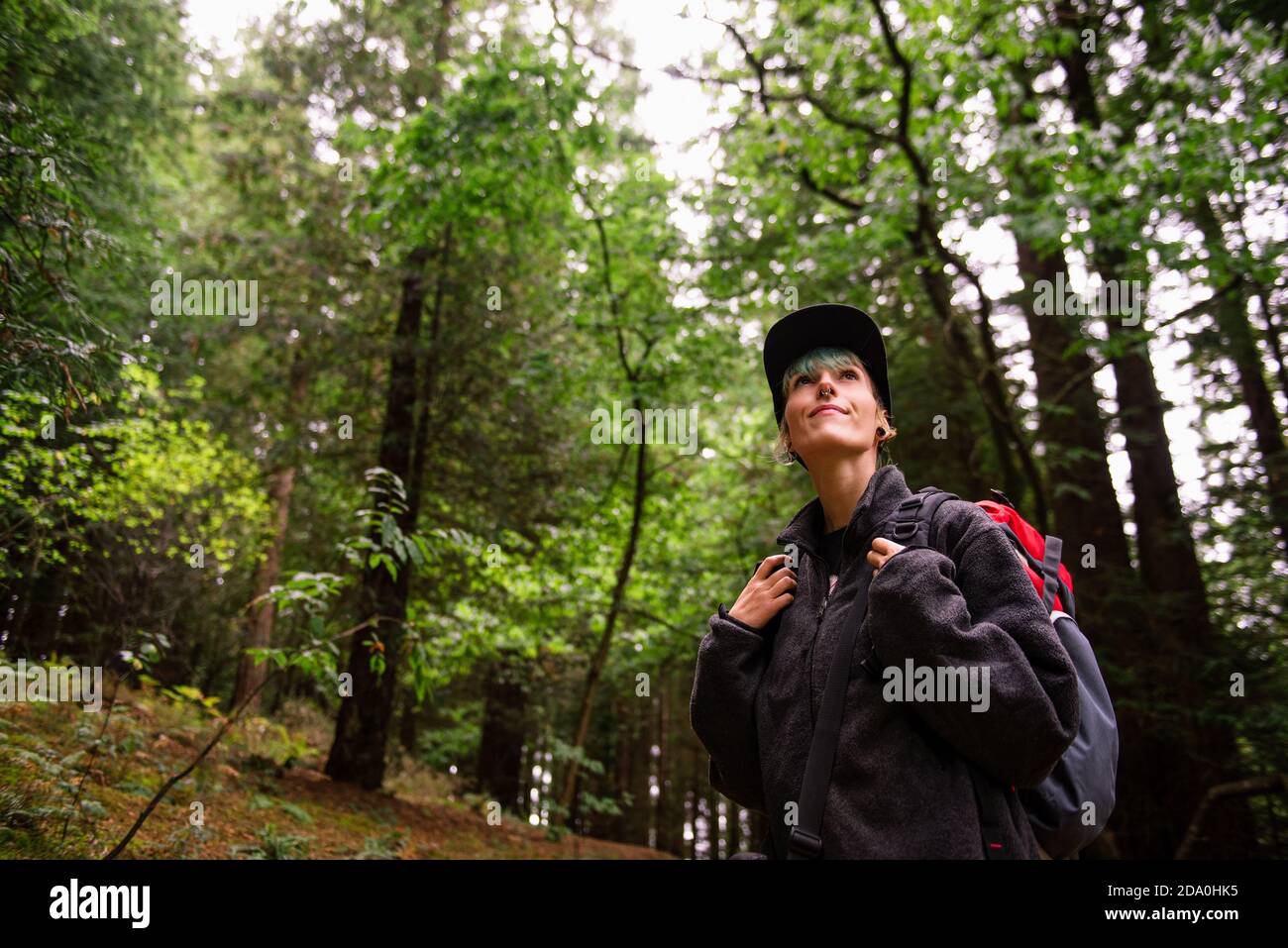 Petit angle de contenu touristique femelle avec sac à dos debout bois et profiter de paysages étonnants de grands arbres à Monte Monument naturel de Cabezon de Seq Banque D'Images
