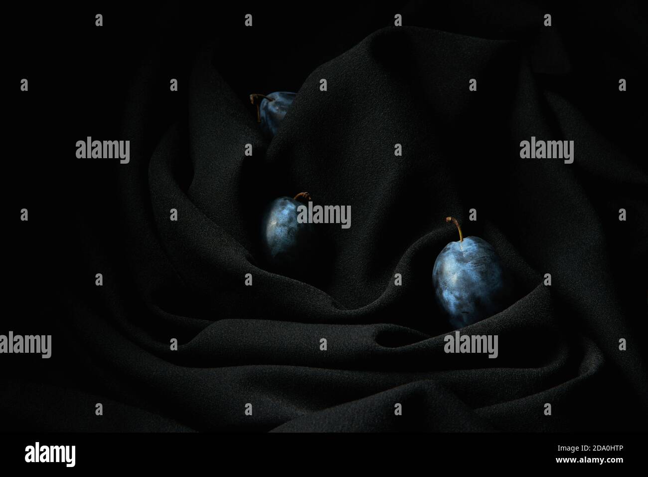 Quelques raisins sur des tiges minces placés sur noir foncé ridé tissu en studio Banque D'Images