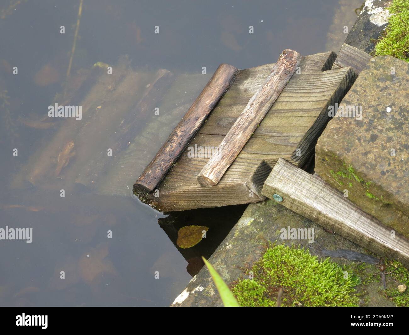 Si vous êtes en train de construire un étang de jardin pour la faune