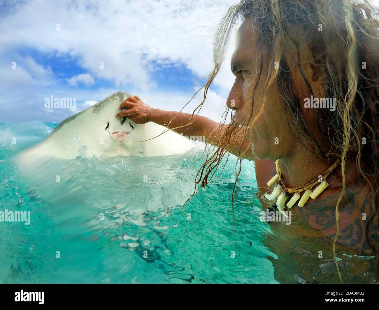 Raies dans les eaux peu profondes du lagon de Bora Bora, Moorea, Polynésie Française, îles de la société, Pacifique Sud. Baie de Cook. Banque D'Images