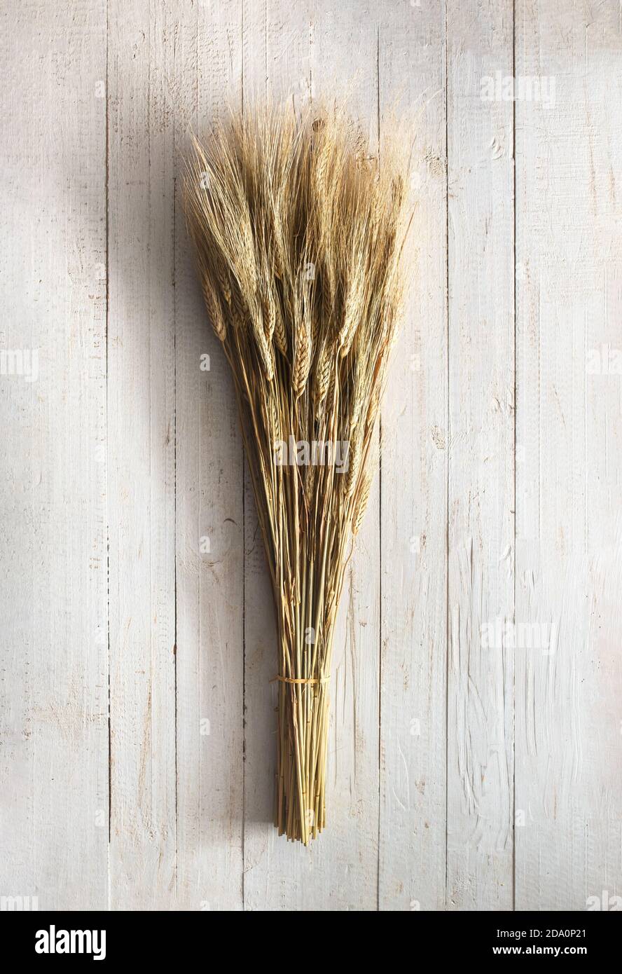 De dessus de bouquet de épis de blé séché attaché avec corde placée sur  fond en bois clair Photo Stock - Alamy