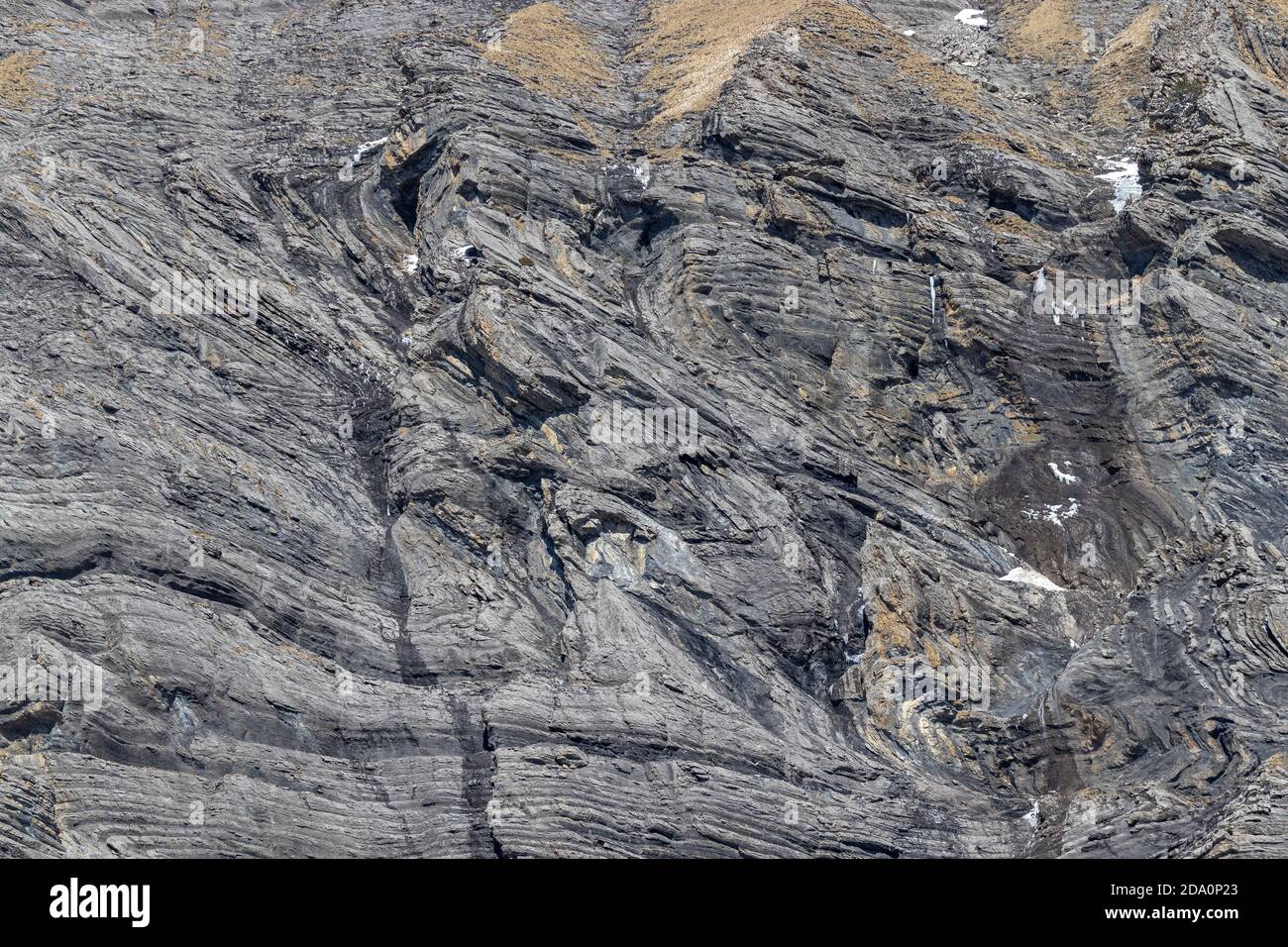 Différentes couches ou plis géologiques dans la roche alpine se sont développés lors du pliage des sédiments ou de la déformation ductile, Kandersteg Suisse. Banque D'Images