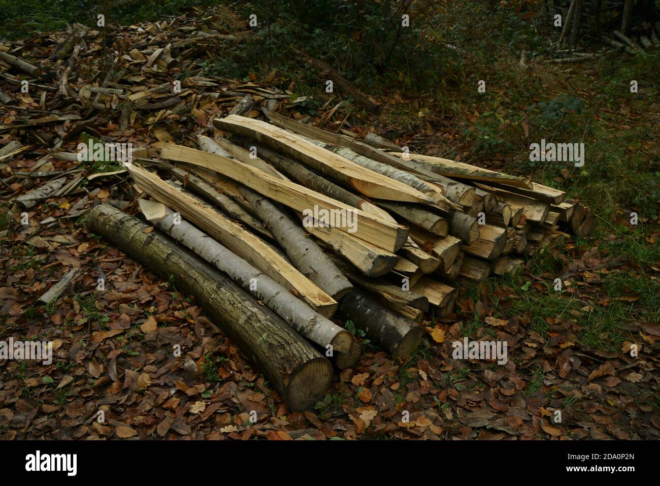 Une pile de poteaux de clôture de Chestnut. Banque D'Images
