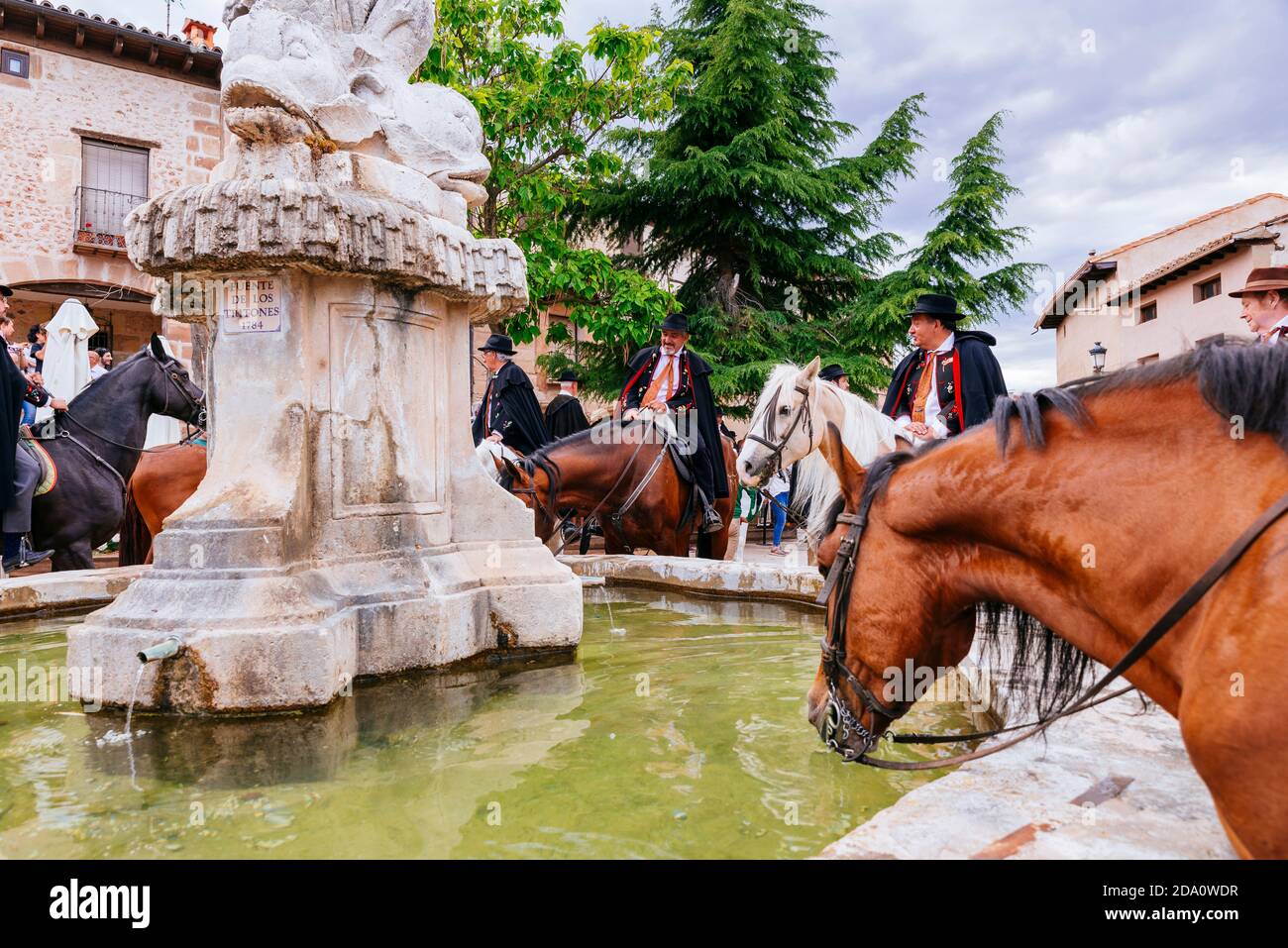 Les chevaux boivent de la fontaine de la Plaza de España. Fête 'la Caballada'. La Fraternité de la Sainte Trinité. Atienza, Guadalajara, Castilla la Ma Banque D'Images